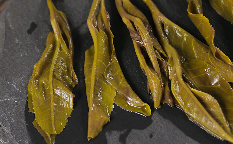 益君健茶叶老班章茶生茶饼古树纯料生茶叶批发尝鲜2饼