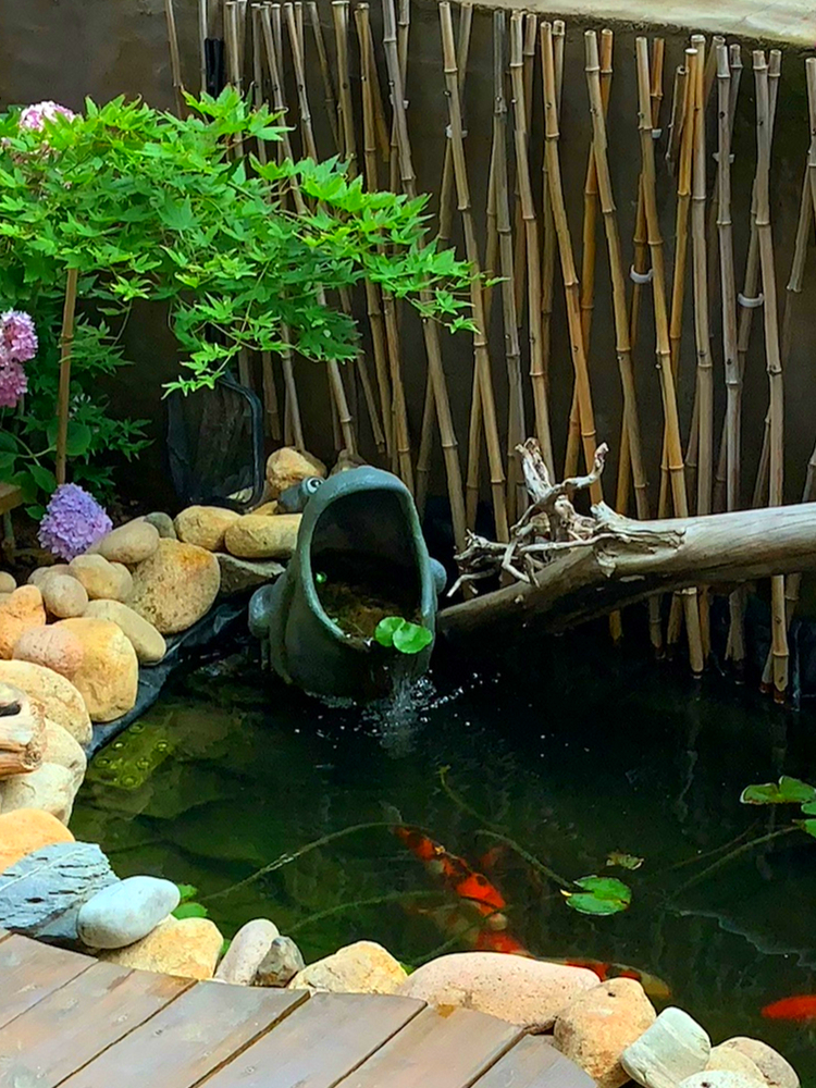 德骊嘉户外水池流水青蛙摆件花园庭院阳台装饰摆设品幼儿园学校景观