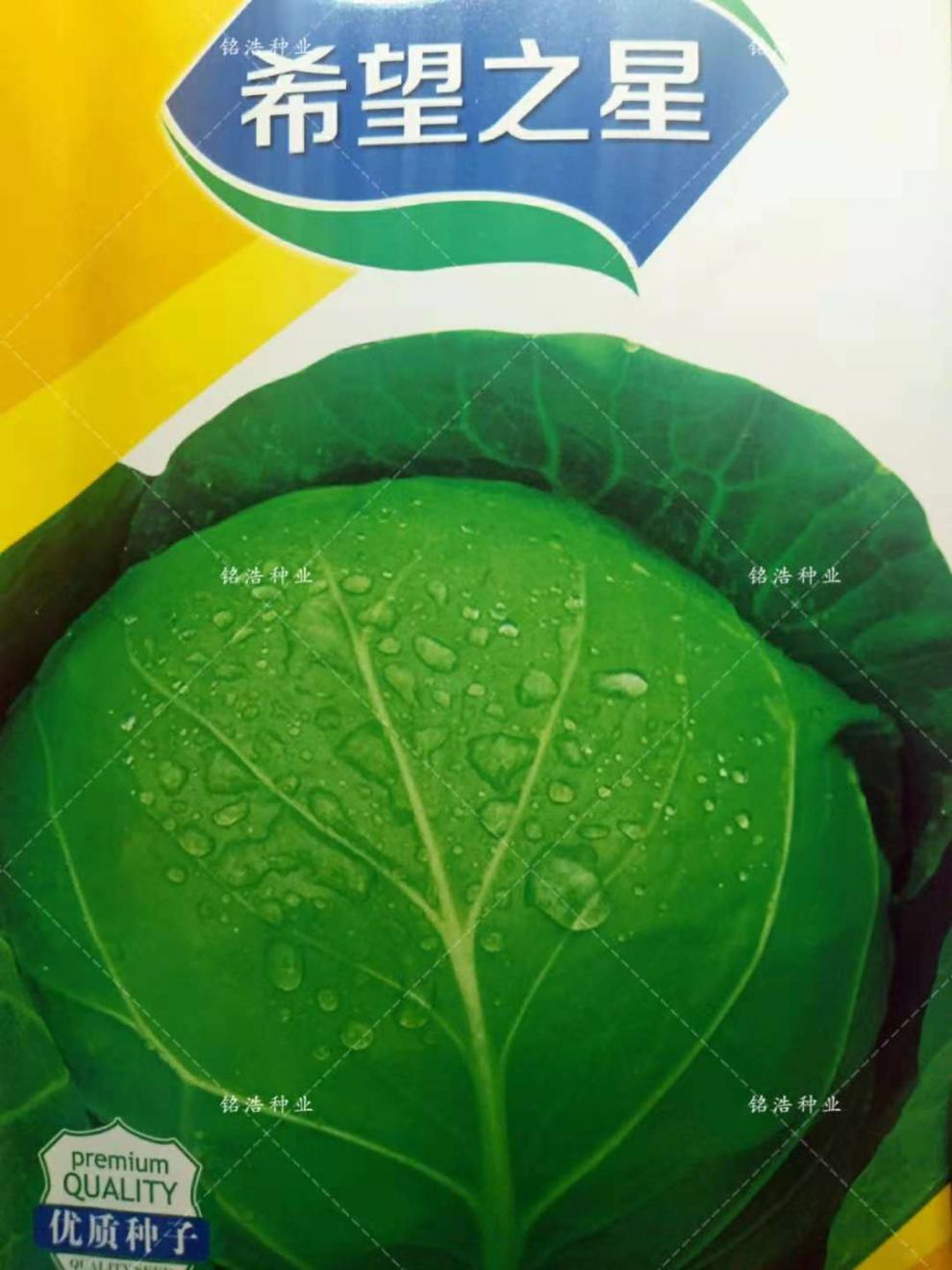 甘蓝种子卷心菜种子包心菜包菜种子包菜种子大头菜种子农家基地用绿霸