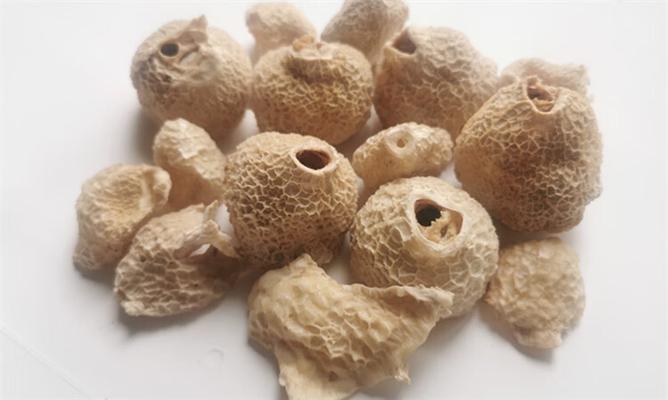 竹毛肚贵州竹荪帽壳农家山珍土特产50g竹荪盖竹菌盖100g