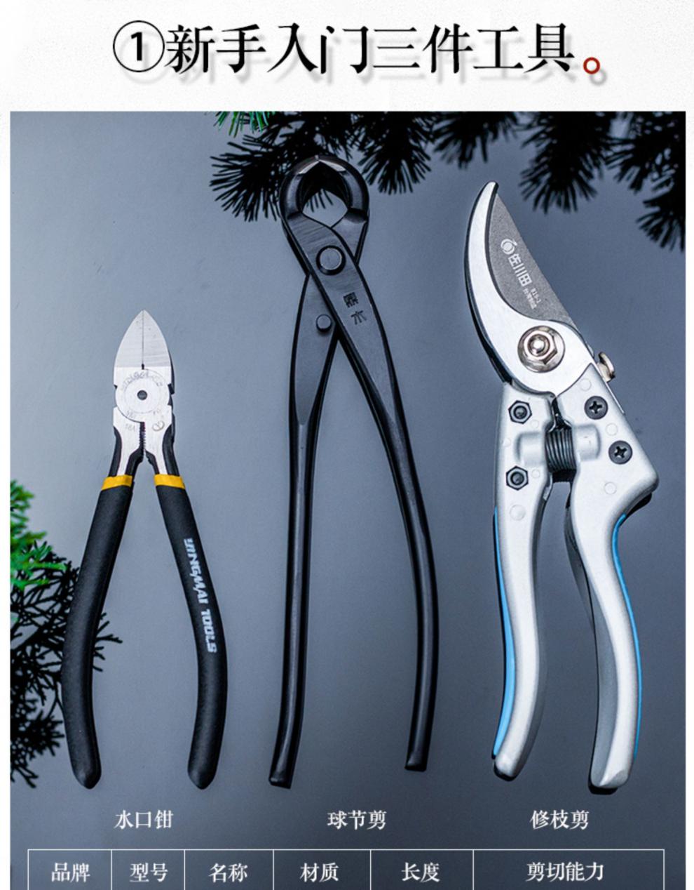 鼎木叶芽剪芽剪小枝剪盆景修剪制作造型工具剪刀园艺修枝盆景进阶5件