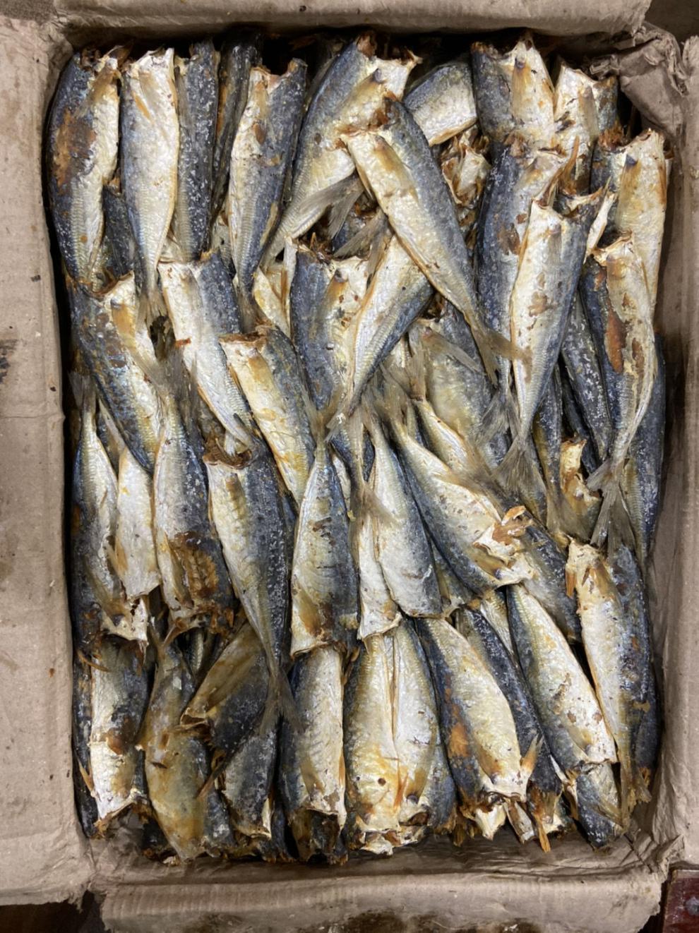 新鲜巴浪鱼干去头海鲜咸鱼干小鱼干袋装福建特产批发宏嘉睿巴浪鱼干5