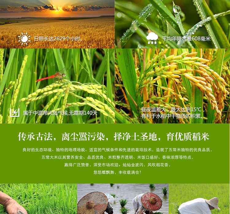5公斤kg新米五粮红黑龙江东北大米