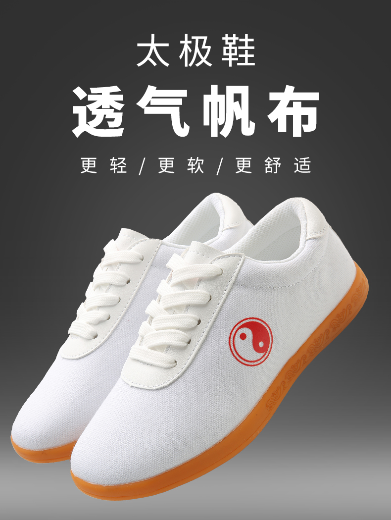 陈家沟太极拳鞋 专业太极鞋女夏季布鞋武术鞋太极拳鞋练功鞋男帆布夏
