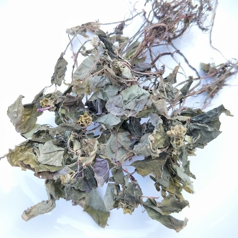 风柜斗草 干品楮风谷风鼓草 风骨草 风方古草 方鼓草 500克