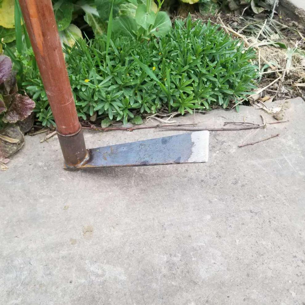 汐岩锄头农用除草开沟镢头刨地大板锄园艺锄老一号长型板锄一个