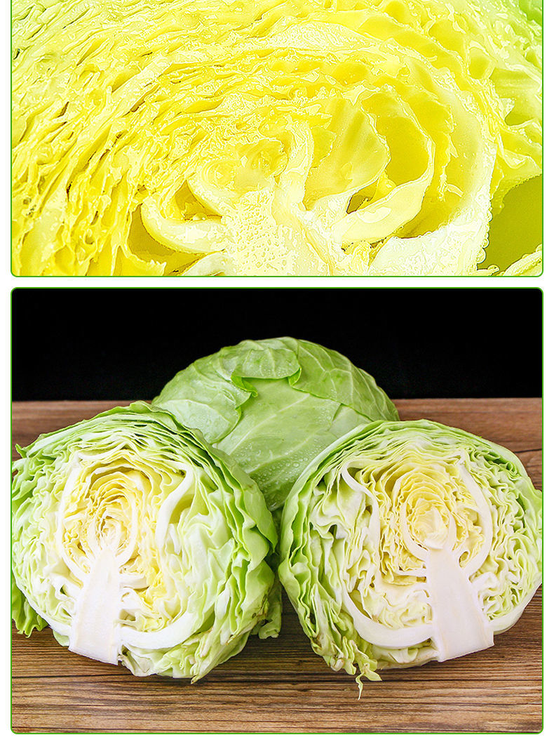 绿甘蓝菜新鲜蔬菜沙拉配菜现摘现发小甘蓝菜卷心菜小甘蓝包菜455斤