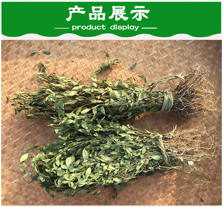 偉博偉博瓜子金來馬回驚風草中藥材500克幹品辰砂草二月花產後草瓜子