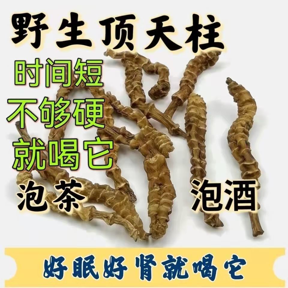 顶天柱的功效与作用图片