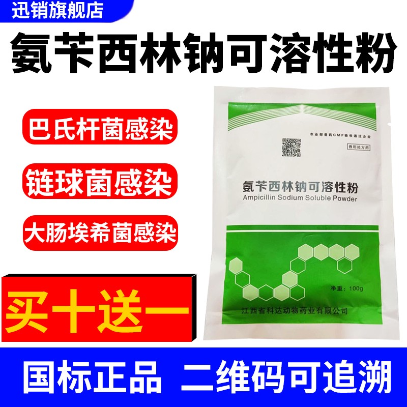 氨苄西林钠可溶性粉兽用猪丹毒牛羊肠炎药白痢禽药鸡药大肠杆菌沙门氏