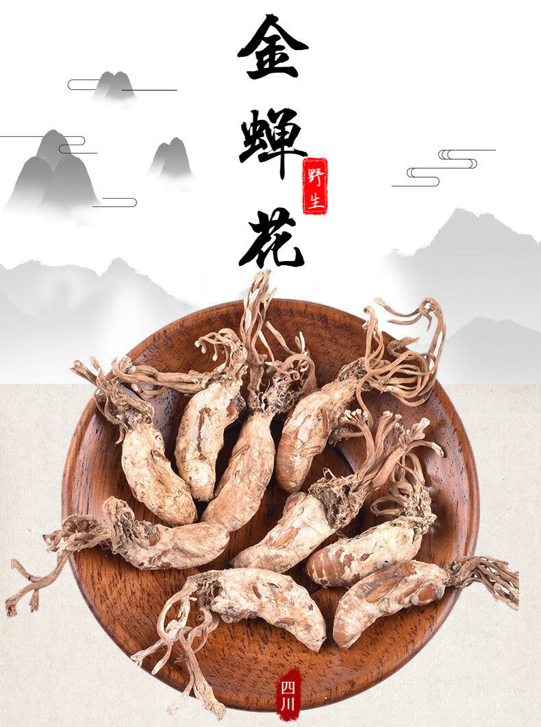 【2022年新货野生金蝉花】大别山竹林蝉花知了花大自然虫草花 【严选