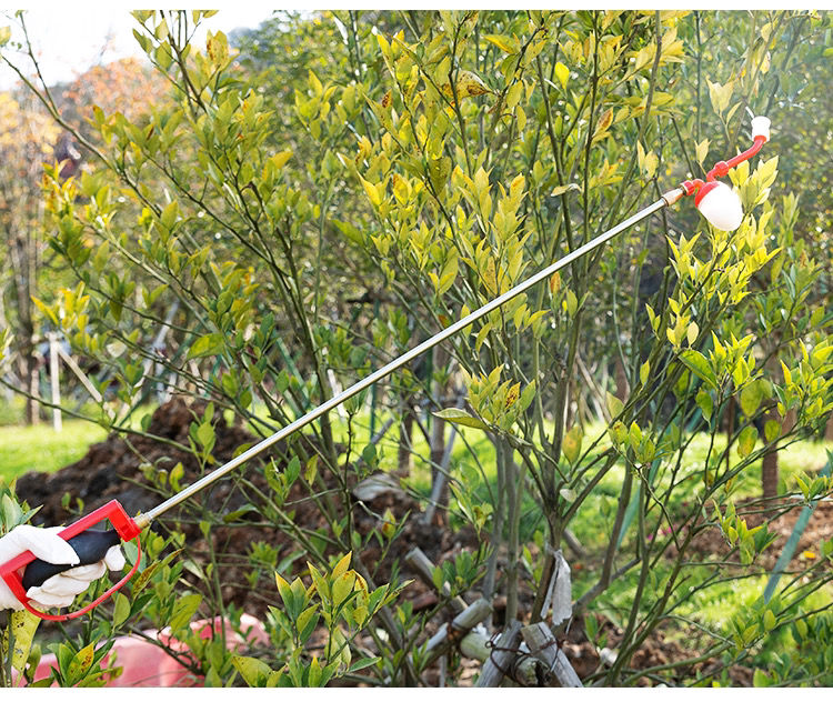 授粉枪新款果树花粉授粉器 桃树梨树猕猴桃西红柿番茄杆式点花授粉器