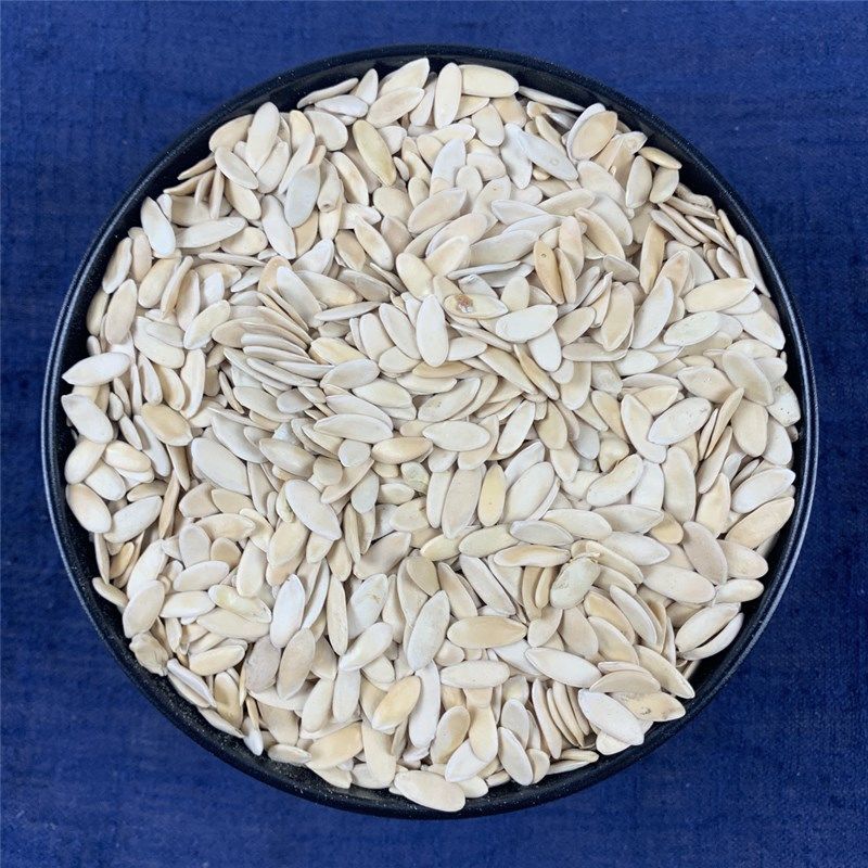 中药材黄瓜籽500克生黄瓜子东北老旱黄瓜子粉 炒黄瓜籽 补钙100g 1000