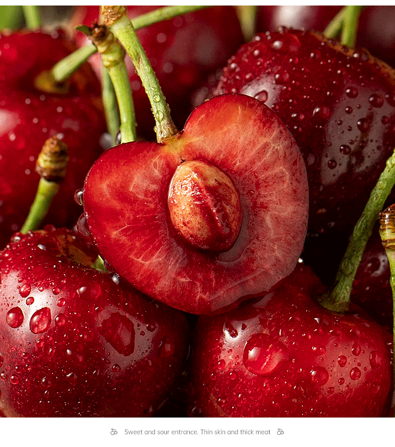 维吉尔大连樱桃现摘现发美早砂蜜豆水果车厘子新鲜整箱发货顺丰 2斤