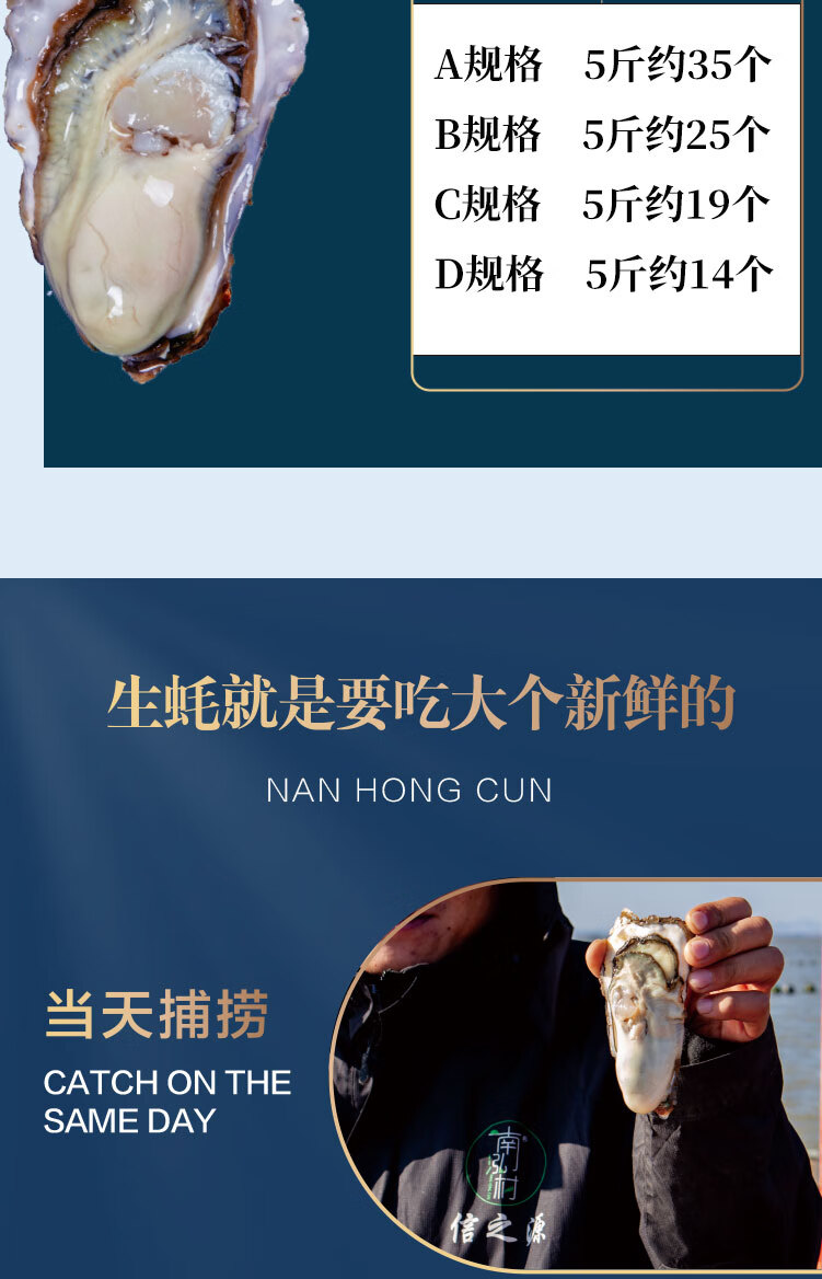 活鲜南泓村乳山生蚝鲜活新鲜海蛎子贝类烧烤生鲜刺身生蚝25kgd规格约
