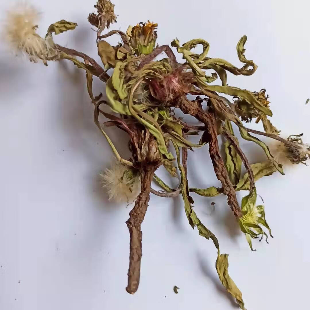 伟博21年干蒲公英茶中药材婆婆丁整棵带根晒干的泡水特级 5斤亏本超值