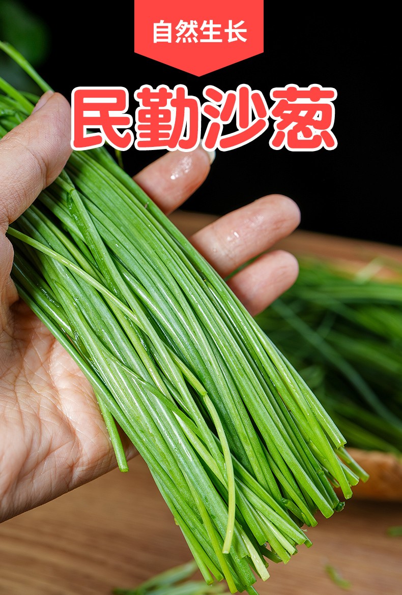 沙葱新鲜甘肃民勤特产现摘新鲜蔬菜农家自种小葱民勤沙葱15斤2500g