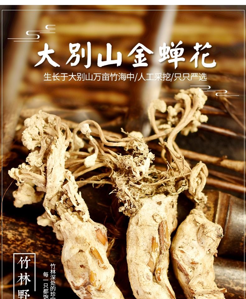 大别山野生金蝉花200g中药 知了花 虫草金蝉花的功效非500g 100克装