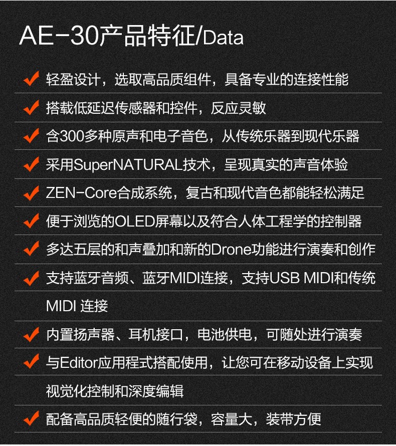 roland罗兰电吹管ae30初学者电萨克斯吹奏电子管笛葫芦丝乐器大全顺丰