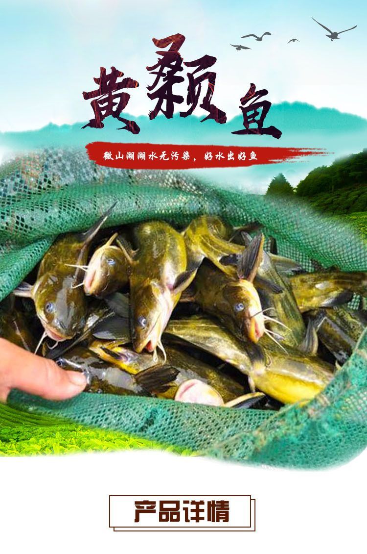 黄骨鱼1斤装【6-8条每斤】【图片 价格 品牌 报价】-京东