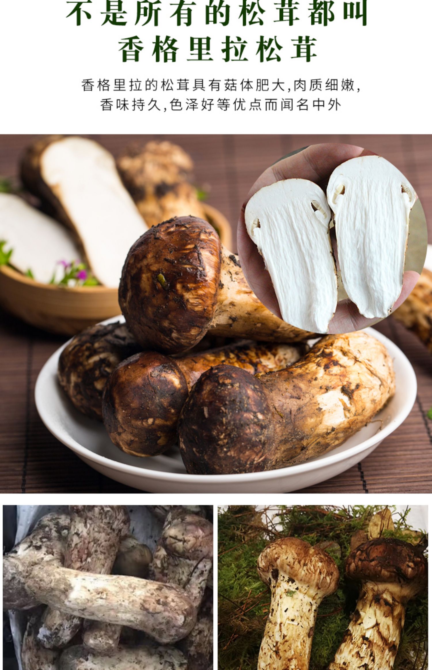 松茸菌云南特产菌类500g鲜松耸菇菌菇9-13cm 新鲜松茸4-6cm【家人】