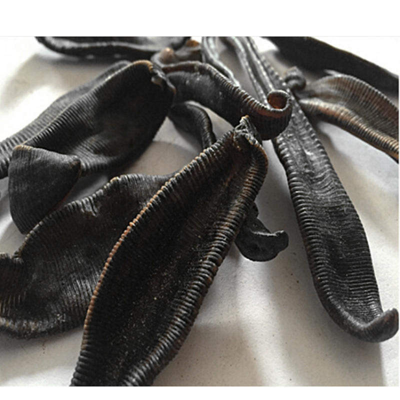 伟博新货大个水蛭干货蚂蟥马鳖虫吸血虫100克