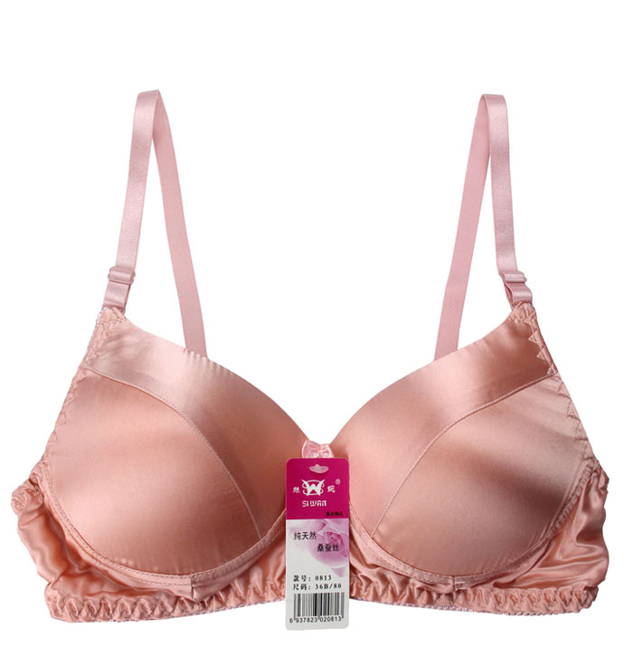 高端轻奢品牌纯桑蚕丝无钢圈真丝文胸薄模b杯搭扣透气舒适薄款内衣