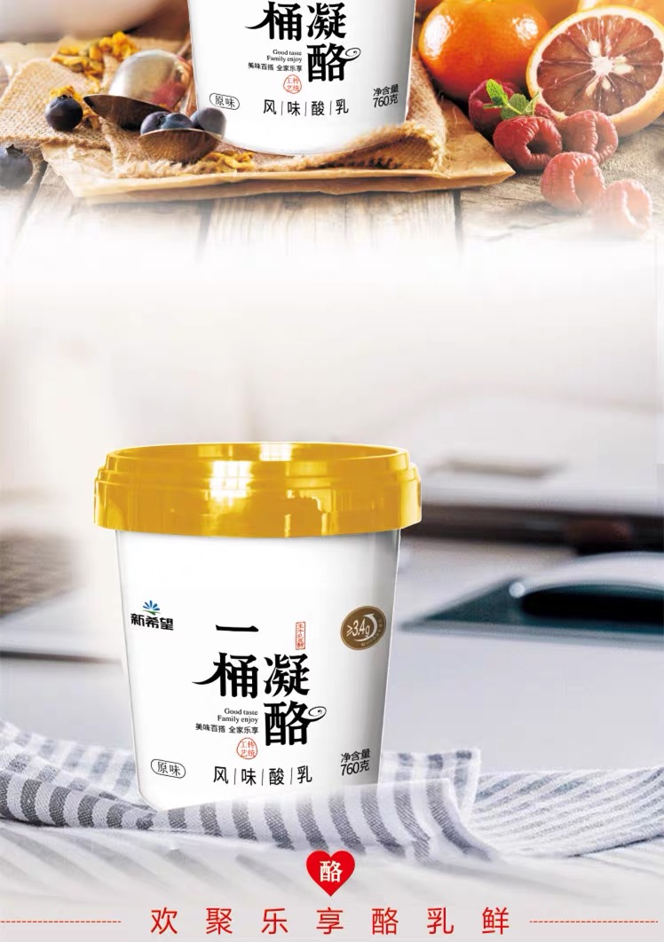 新希望一桶凝酪酸奶760g2桶风味发酵乳益生菌酸牛奶家庭实惠装760g