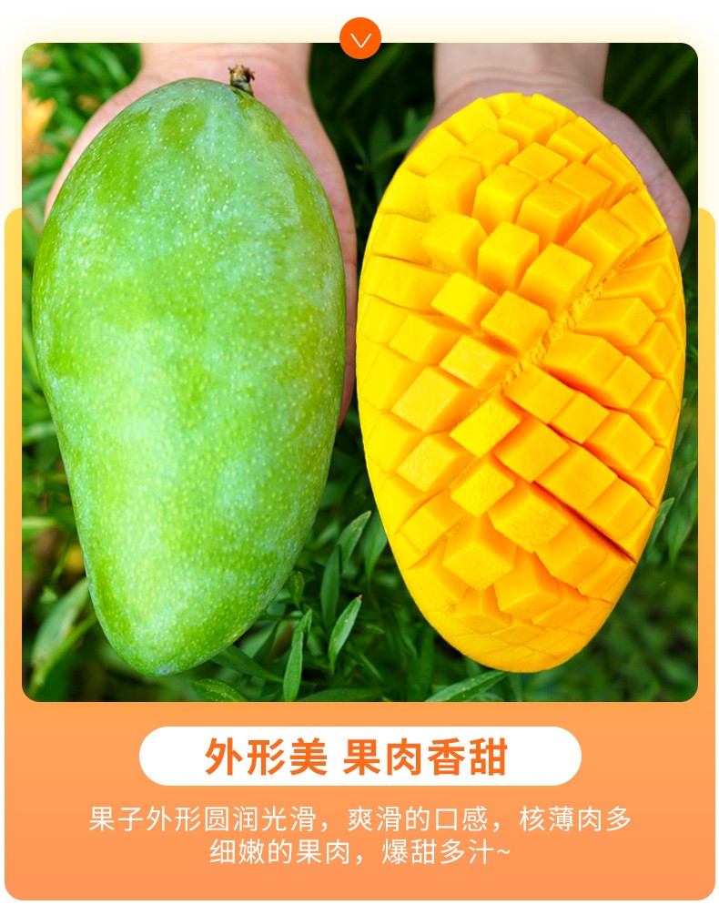 越南芒果进口大青芒装当季新鲜特大青芒果应季水果整箱3斤/5斤/9斤 9