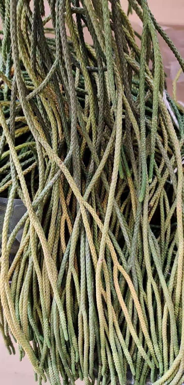 细叶 马尾千金草 活动中 云南500克【图片 价格 品牌 报价】-京东