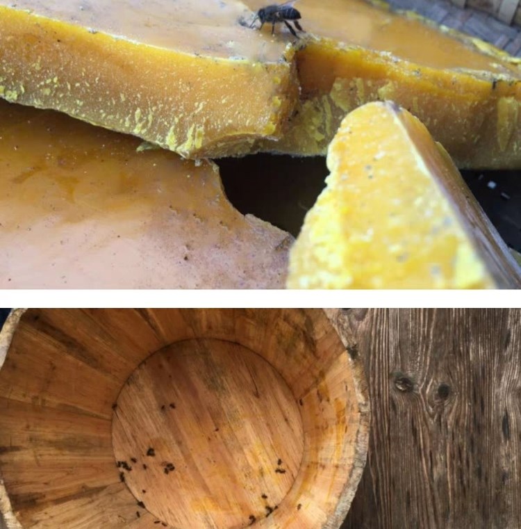 蜂蜡诱蜂用诱蜂蜡诱蜂找蜂中蜂老脾蜡引蜂招蜜蜂蜡野外封盖蜡中纯中