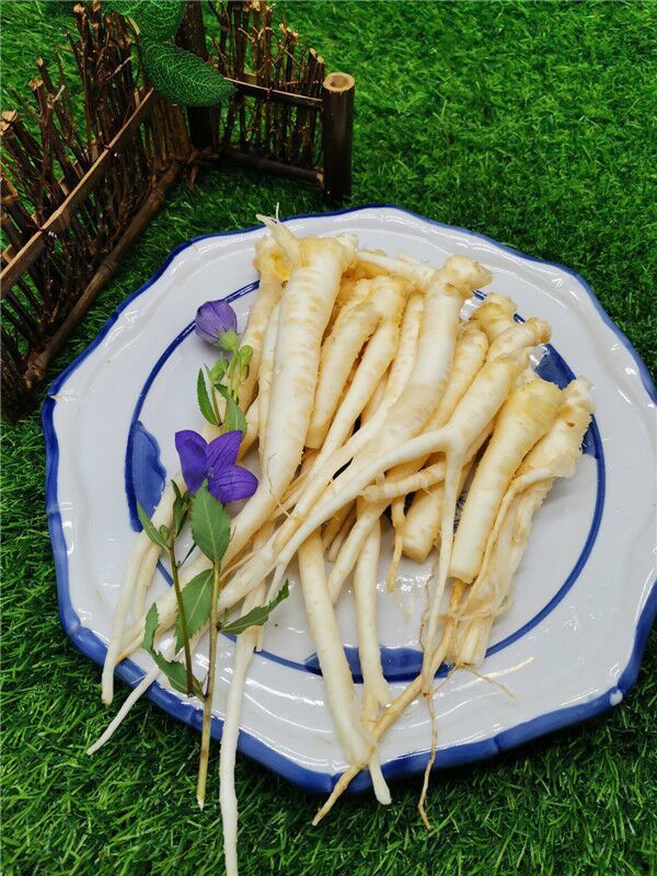 伟博中材桔梗长白山山地桔梗新鲜现挖现卖桔梗干桔梗种子桔梗 新鲜