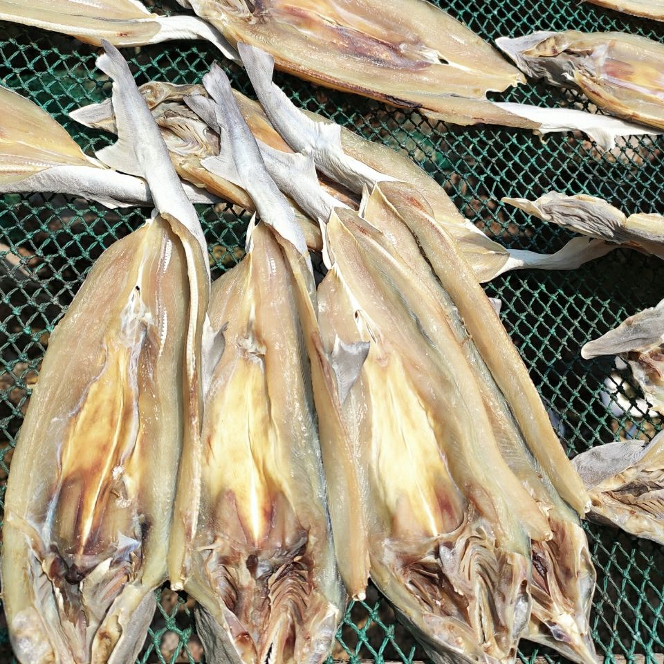 北海渔家自晒鲨鱼干咸鱼干海味干货海鲜水产特产礼礼品批发1000g大