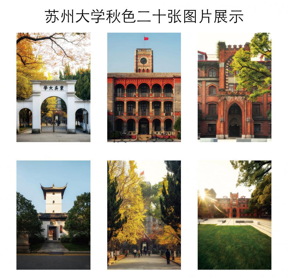 苏州大学明信片 苏大明信片 苏大海报名校明信片苏州大学纪念品 苏州