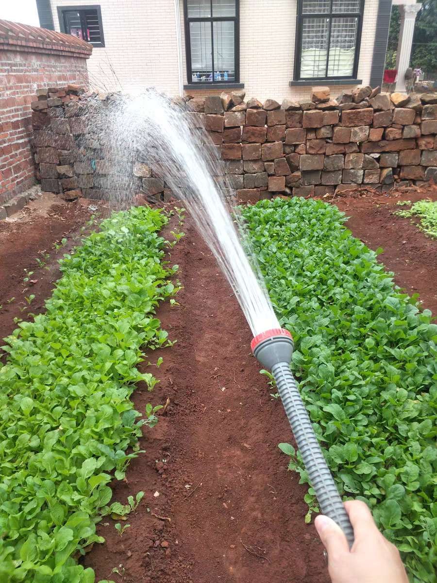 洒水喷头 4分6分农用花洒喷头/浇花浇菜洒水喷头/塑料莲蓬头/洒菌菇