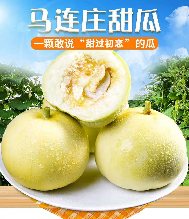 正宗马连庄甜宝甜瓜莱西香瓜小蜜瓜净重35斤礼盒68枚