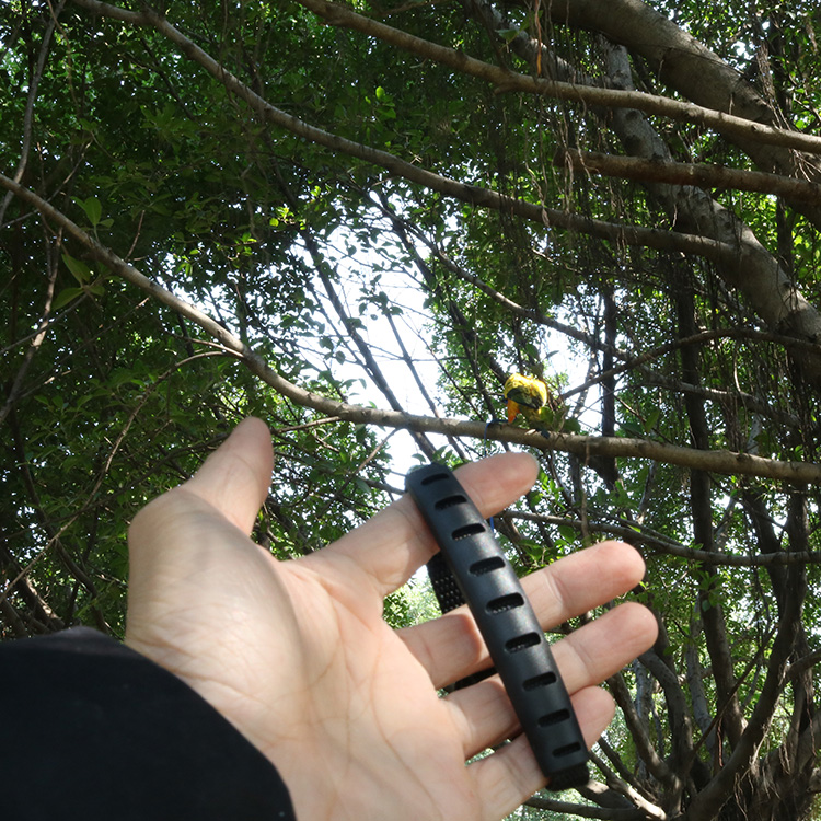 宠儿新家鹦鹉放飞绳背带式 外出遛鸟绳/牵引绳/训练绳/鹦鹉飞行绳