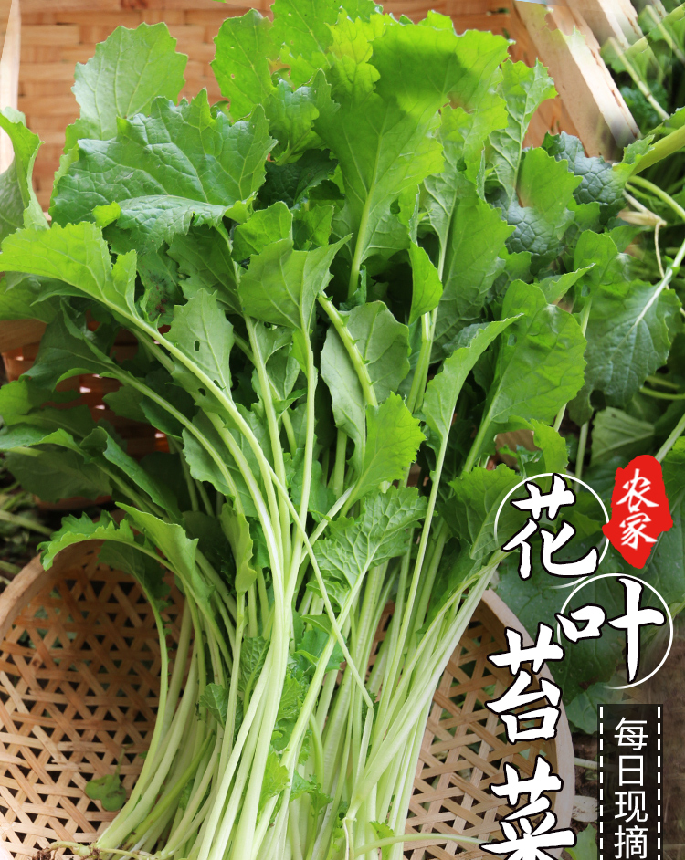 密农人家新鲜花叶苔菜密云农家种植蔬菜300g新鲜花叶苔菜300g