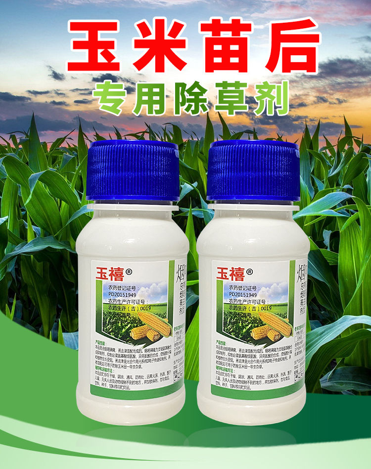 农达 玉米除草剂不伤玉米苗后安全型玉米地杂草封闭杀大草除杂草药