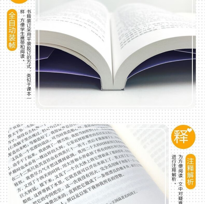 鲁滨孙漂流记六年级下册必读课外书原著漂流记鲁滨孙12岁适合鲁滨逊完整版鲁滨孙音译6到12岁 适合1-3年级鲁滨逊漂流记详情图片2