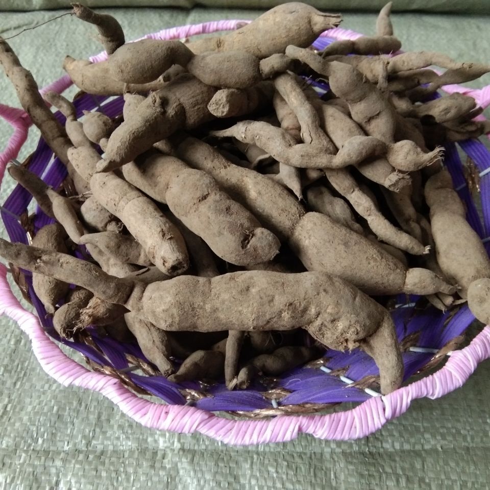 伟博贵州雪里开 中药材拐子药草药根单叶铁线莲新鲜纯根500克 500g