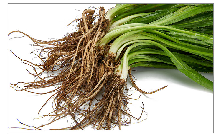 顺丰速运新鲜刺芫荽大香菜刺芹洋鹅芥假芫茜元西缅芜荽泰国越南香菜