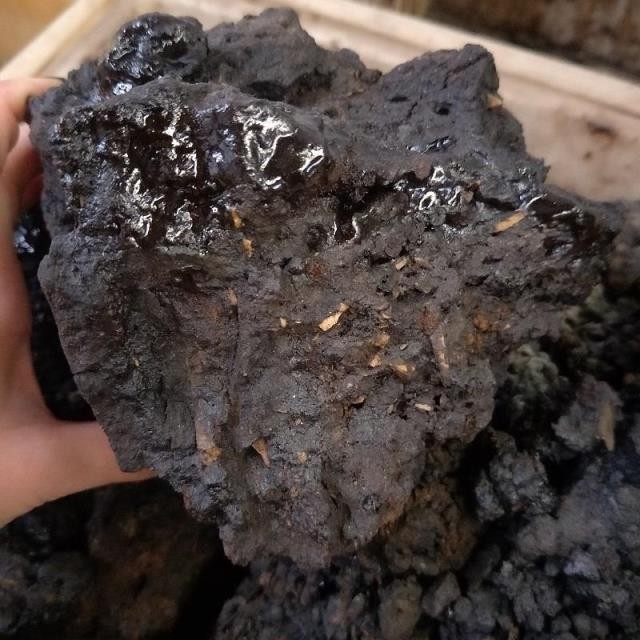 【优选】 2022新货】中药材猴结 猴竭 实物拍摄血灵芝 脂 乌猿结500克