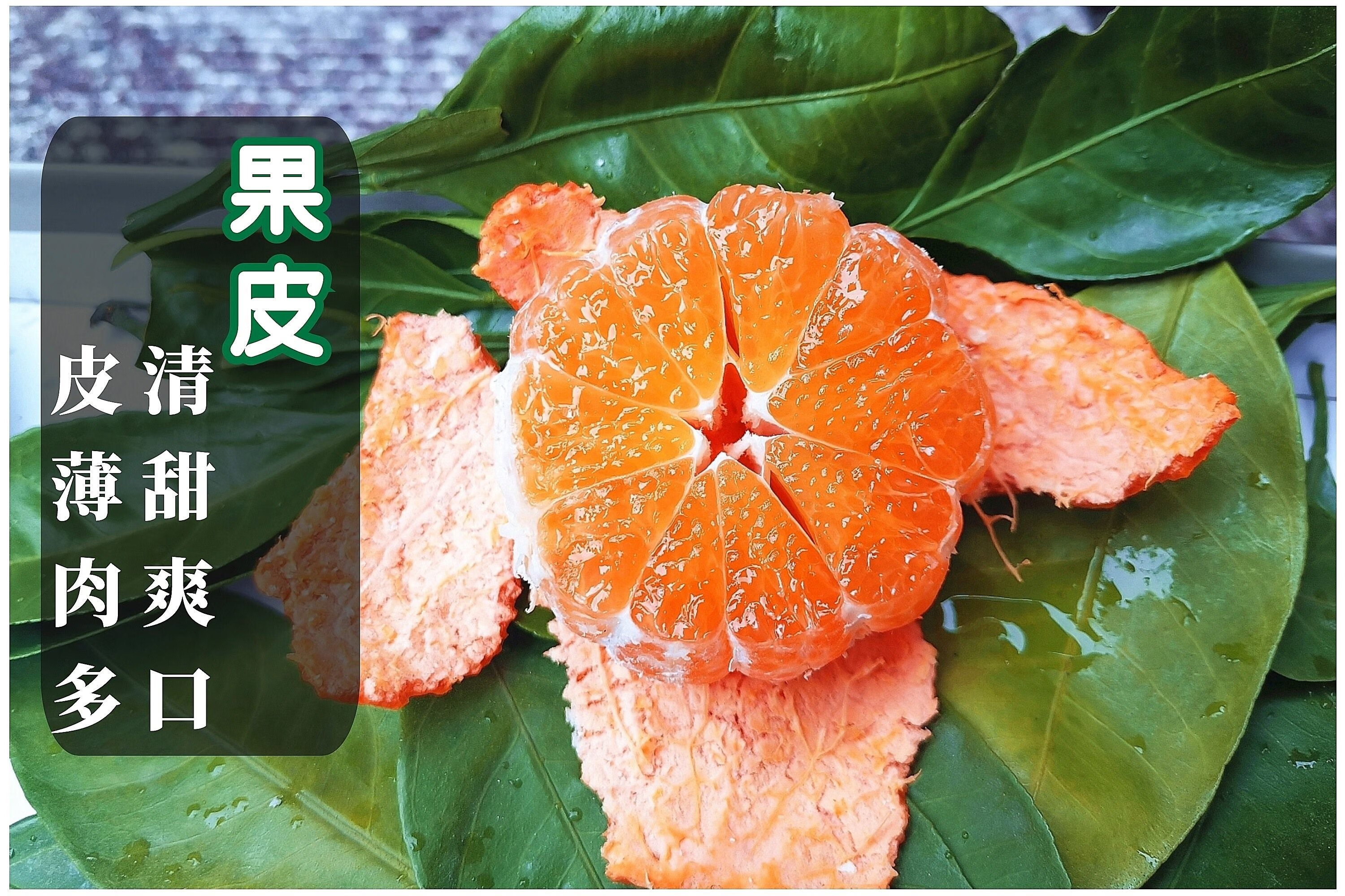 新鲜桔子薄皮无核无籽当季水果整箱黄岩橘子 10斤精品蜜桔大果【图片