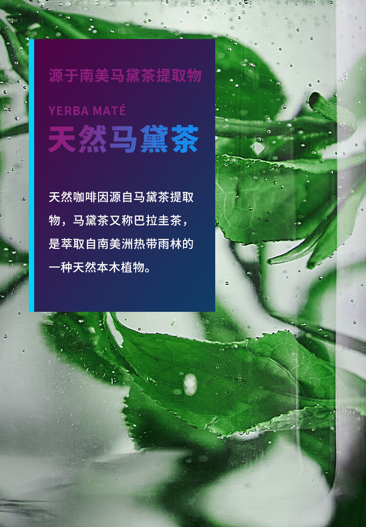 外星人能量饮料【100ml*8瓶】外星人能量弹0糖能量饮料 黑莓马黛茶