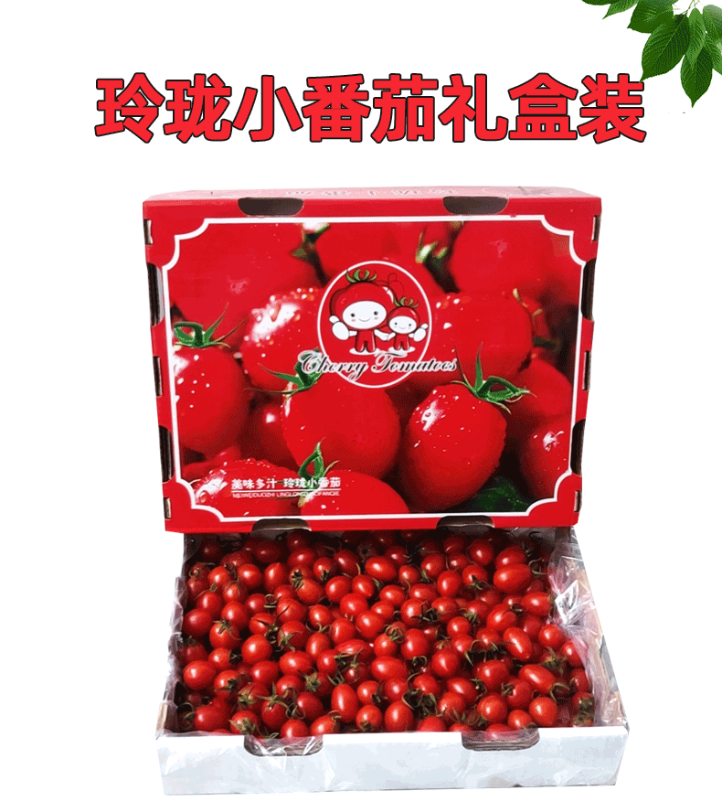 玲珑千禧圣女果礼盒小番茄西红柿 5斤精品礼盒装【图片 价格 品牌