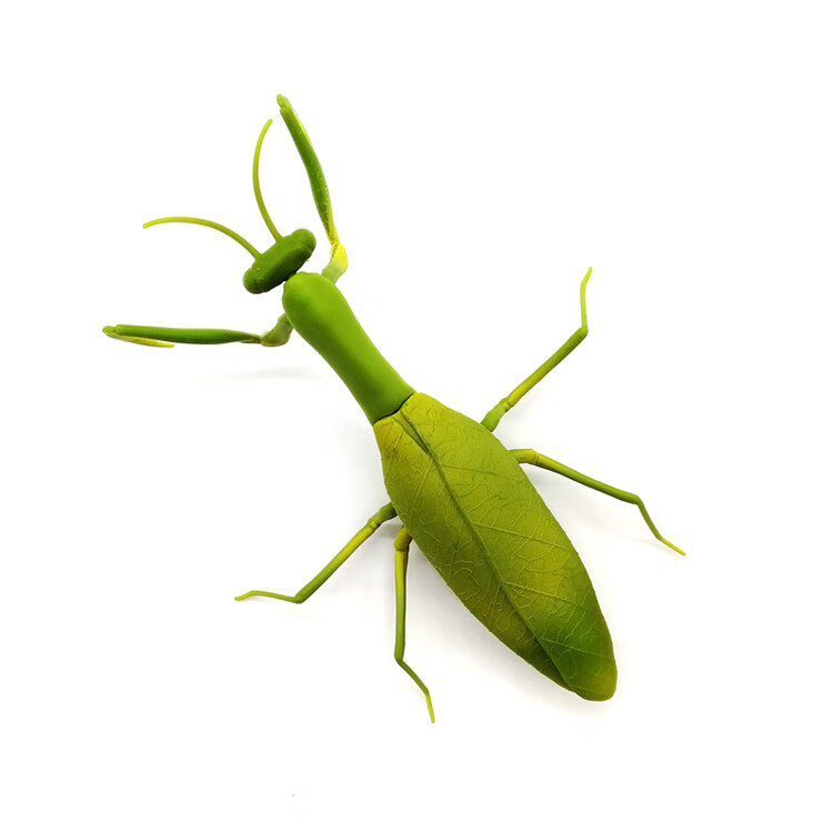 羽凡鸟遥控螳螂玩具创意仿真动物昆虫新奇会动男孩恶搞整蛊仿真活物