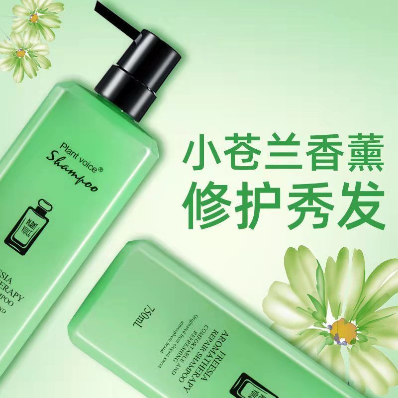 京选优品植物语录洗发露老姜王生姜养发小黑裙柔顺留香小苍兰香薰修护