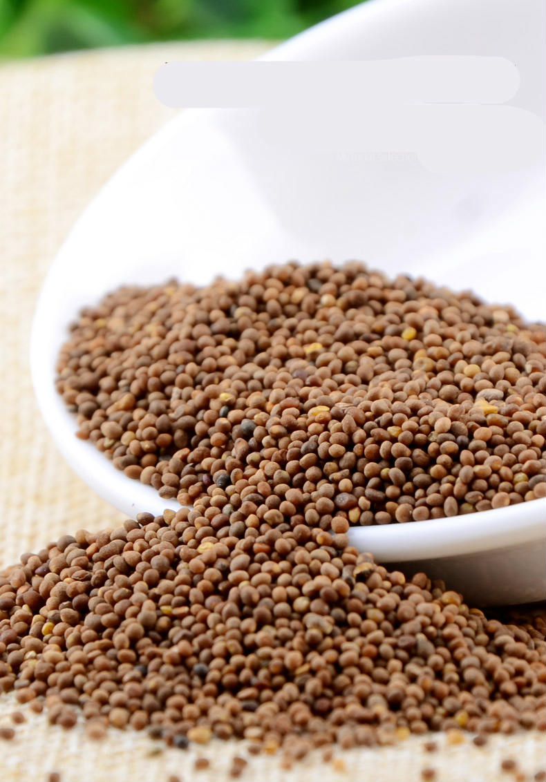 中药材菟丝子500g菟丝子菟丝子兔丝子泡