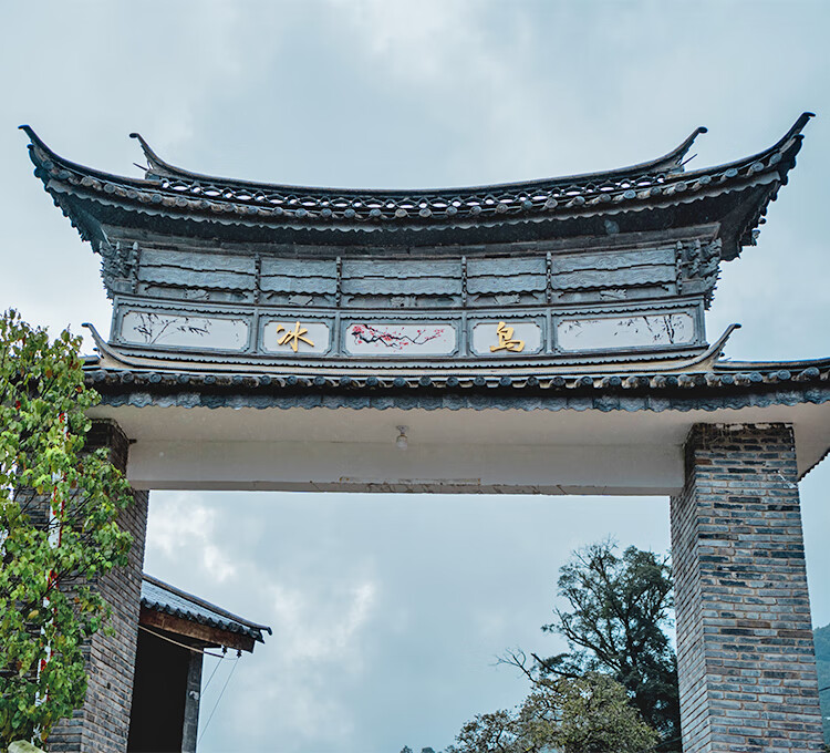 古寨春 古寨春【周年庆典】锡罐冰岛老寨2017年茶农自存女儿茶冰岛老